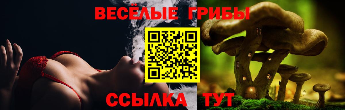Псилоцибиновые грибы мухоморы  Вход с VPN  Псилоцибиновые грибы MAGIC MUSHROOMS  Кызыл 